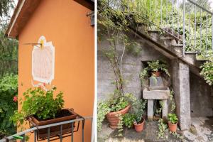 A garden outside Casetta di Butia, Ginestra apartment with swimming pool