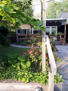 - un banc en bois dans un jardin fleuri dans l'établissement B&B Het Molensteegje, à Andijk