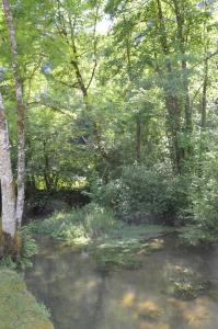 Paesaggio naturale nelle vicinanze del bed & breakfast