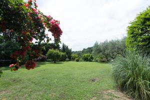Zahrada ubytování VILLA VEIO