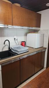 La cuisine est équipée d'un évier et d'un four micro-ondes. dans l'établissement Liarets Furnished flat, à Chamonix-Mont-Blanc