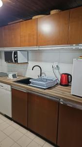 - une cuisine avec un évier et un comptoir dans l'établissement Liarets Furnished flat, à Chamonix-Mont-Blanc