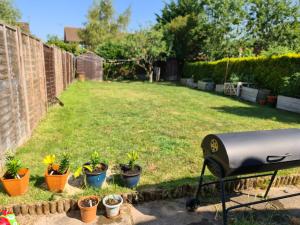 een rij potplanten in een achtertuin bij Homely Home in Buckinghamshire