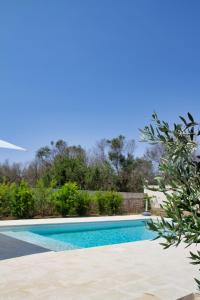 a swimming pool in a yard with trees and bushes at Pittinta - il tuo rifugio a Vignacastrisi in Vignacastrisi