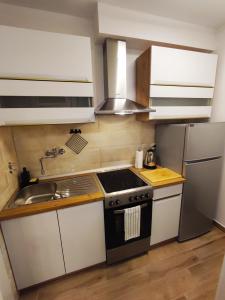 Η κουζίνα ή μικρή κουζίνα στο Apartman TEO