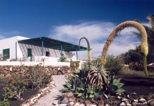 a garden with plants in front of a building at Casa Andrés in Yaiza