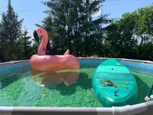 a swimming pool with a pink flamingo and a surfboard at Mazurski dom Brejdyny Sauna i Bania in Mrągowo +113 photos