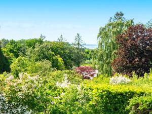 a field of flowers with trees in the background at 8 person holiday home in Alling bro in Nørager