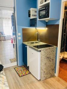 Il comprend une petite cuisine avec un évier et une douche. dans l'établissement Studio de 21m2 au moulleau à 20 m de la plage, à Arcachon