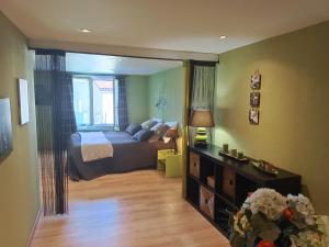 a bedroom with a bed and a large mirror at La maison des roses in Chadrac