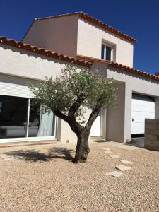 a small tree in front of a house at Maison familiale avec piscine à 3km de la plage in Latour-Bas-Elne