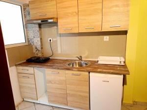 a small kitchen with a sink and a sink at Finikas Apartments in Polychrono