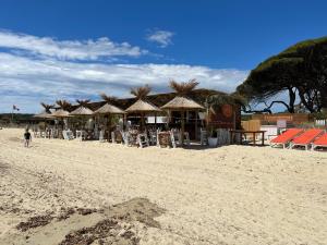 um grupo de guarda-sóis e cadeiras numa praia em Mobil-home Parc Montana Gassin em Gassin