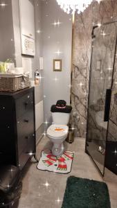 a bathroom with a toilet and a shower at Apartamenty Tomaszów Lubelski - Zielony in Tomaszów Lubelski +2 photos