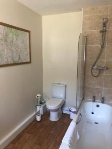 a bathroom with a toilet and a bath tub at Laundry Cottage in Dumfries
