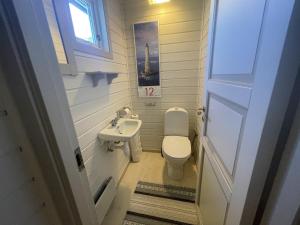 a small bathroom with a toilet and a sink at Perla - cabin by the sea close to sandy beaches in Sandefjord +32 photos