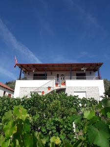 een wit huis met een rood dak achter een struik bij Villa Rexho in Berat