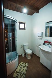 a bathroom with a shower and a toilet and a sink at Glamping La Octav in Tîrpeşti
