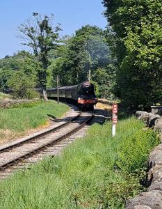 a train is coming down the tracks at Oakworth in Oakworth