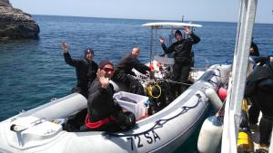 Fotografie z fotogalerie ubytování Apartment Zaglav 3 - first sea row v destinaci Zaglav