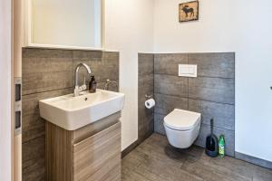 une salle de bain avec un lavabo et des toilettes dans l'établissement Am oberen Bühl, à Furtwangen im Schwarzwald