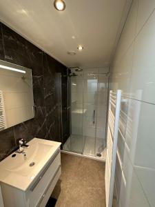 een badkamer met een glazen douche en een wastafel bij Traum Ferienhaus mit Dachterrasse am Veluwemeer in Hulshorst
