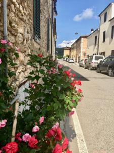 Un mazzo di fiori sul lato di un edificio di A Casa di Marzia a Rapolano Terme