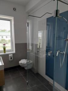a bathroom with a toilet and a glass shower at Hédervári Lovas Vendégház in Hédervár