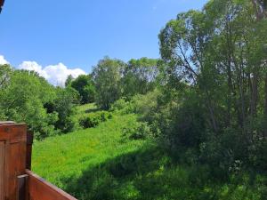 Príroda v okolí apartmánu