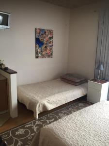 Postel nebo postele na pokoji v ubytování Apartmani Padrov