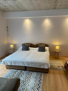 Postel nebo postele na pokoji v ubytování Apartmani Padrov