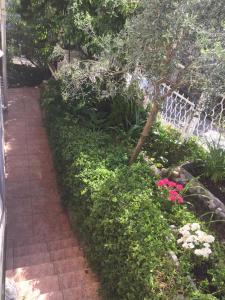 Zahrada ubytování Apartmani Padrov