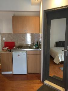 Kuchyň nebo kuchyňský kout v ubytování Apartmani Padrov
