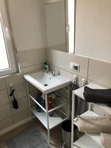 a bathroom with a sink and a mirror at Tiny Haus Liederbach in Alsfeld