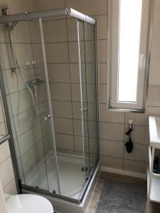 a glass shower in a bathroom with a toilet at Tiny Haus Liederbach in Alsfeld