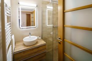 y baño con lavabo, espejo y ducha. en Guest House Žerjal, en Podnanos