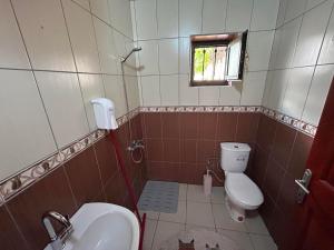łazienka z toaletą i umywalką w obiekcie sweet horses ST6 w mieście Didim