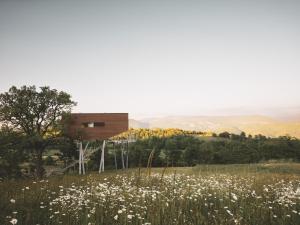 a house on a hill with a field of flowers at Walden House Casarampi in Orsano