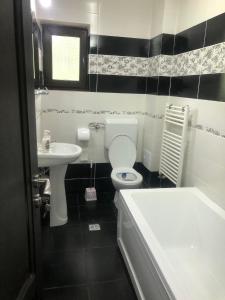a bathroom with a toilet and a sink and a tub at Camere de inchiriat Aioane 