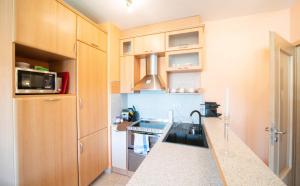 a small kitchen with a sink and a microwave at Free parking Amphitheater Apartment - Wifi, AC, TV in Budapest