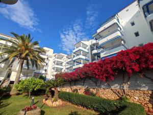 un grand bâtiment blanc avec des fleurs rouges et un palmier dans l'établissement Apartamentos Fuentesol Altamar, à Alcossebre