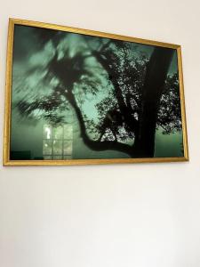 a framed picture of a tree on a wall at Cozy flat, quiet retreat w/ queen bed near forest in Barbizon