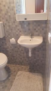 un bagno con lavandino e WC di Apartment Simpatico a Vir (Puntadura) Altre 4 foto