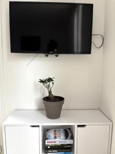 a tv on top of a white cabinet with a plant at Cozy flat, quiet retreat w/ queen bed near forest in Barbizon