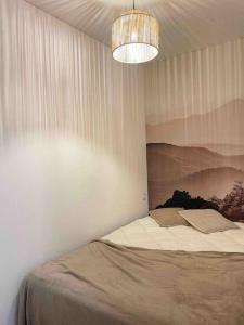 Katil atau katil-katil dalam bilik di Appartement cosy