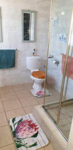 a bathroom with a toilet and a shower with a glass door at SeeBos Holiday Home in Port Edward