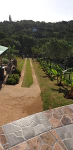 a garden with a pathway with grass and trees at SeeBos Holiday Home in Port Edward
