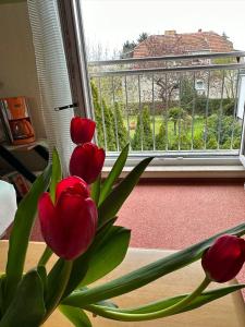 a vase with red tulips in front of a window at Hübsches Zimmer nahe BER in Berlin