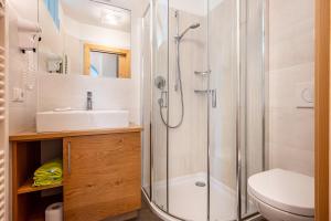 a bathroom with a shower and a sink and a toilet at Talblick Apartement 2 in Laion