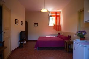 a bedroom with a bed and a tv and a window at Agriturismo I Melograni in Ferentillo